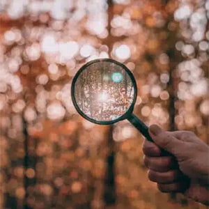 Transparencia